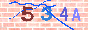 CAPTCHA-Bild