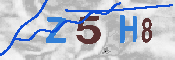 CAPTCHA-Bild